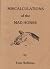 Miscalculations Of The Mad Horse by Tom Hoffman
