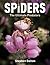 Spiders: The Ultimate Predators by Stephen Dalton (2011-08-17)
