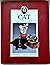 Cat Collectibles