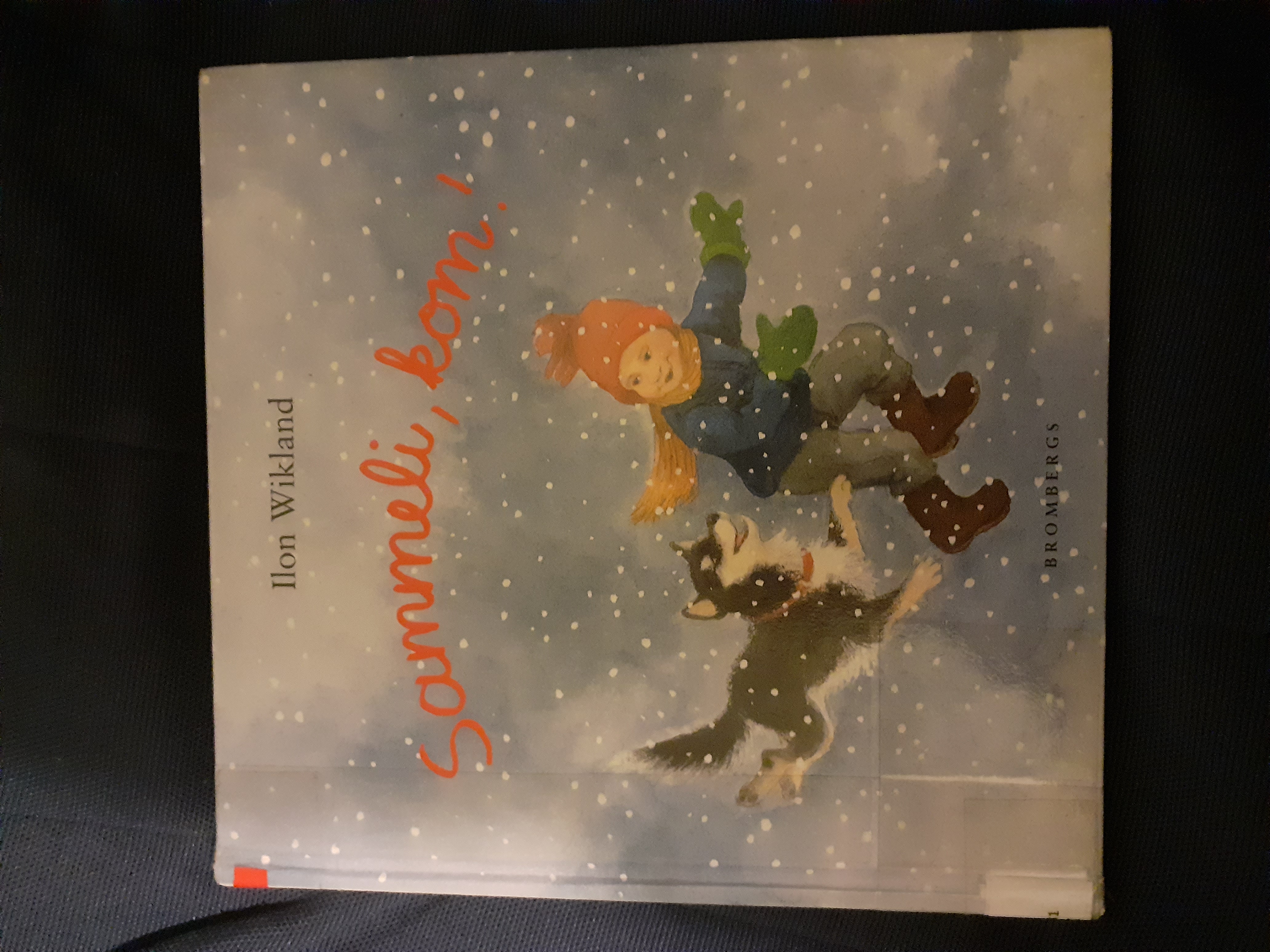 Sammeli, kom! (Hardcover)