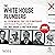 The White House Plumbers: The Seven Weeks That Led to Watergate and Doomed Nixon's Presidency