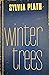 Winter trees