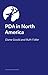Navigating PDA in America