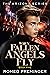 When Fallen Angels Fly: Book Five in the Arizona series