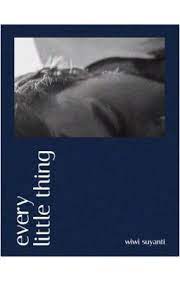 Every Little Thing (Paperback)
