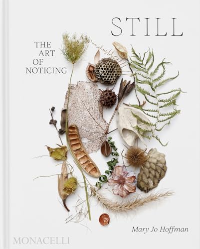 STILL: The Art of Noticing (Hardcover)