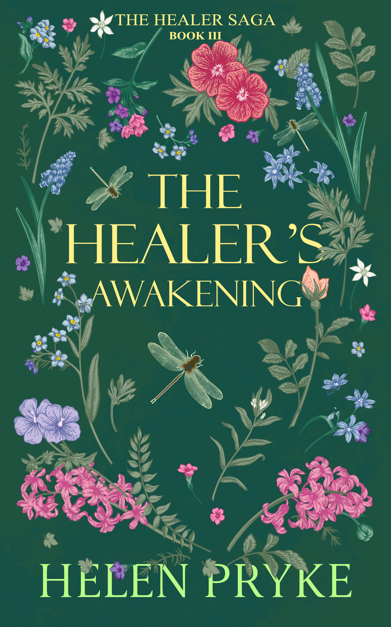 The Healer's Awakening (The Healer Saga Book 3)