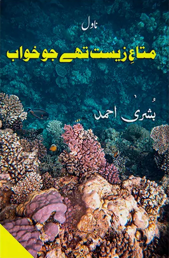 Mata E Zeest The Jo Khwab (ebook)