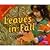 Leaves in Fall
