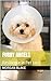 FURRY ANGELS: Resilience in...