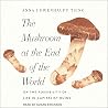 The Mushroom at t...