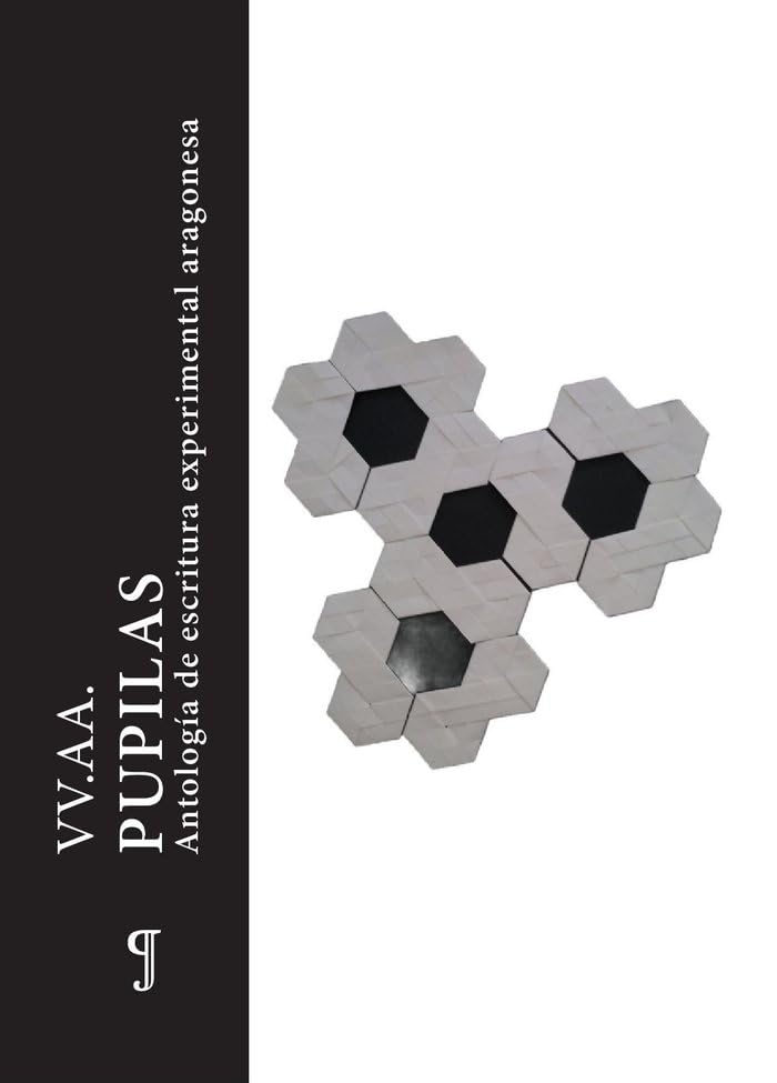 Pupilas: Antología de escritura experimental aragonesa (Paperback)