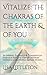 Vitalize: The Chakras of th...