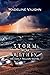 Storm From Within An Emily Fallon Novel (The Emily Fallon Trilogy -Book #2)