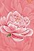 Notizbuch Pfingstblume, Farbe Lachs, 120 Seiten, A5 by Yen Novotny