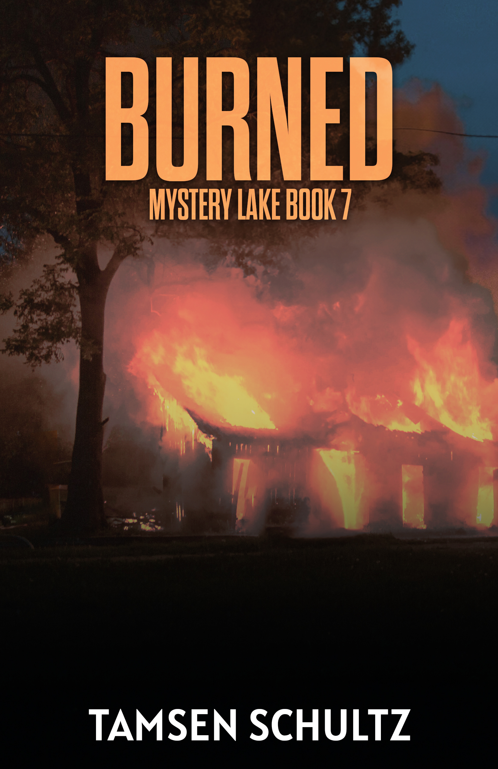 Burned (Mystery Lake, #7)