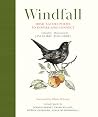 Windfall: Irish N...