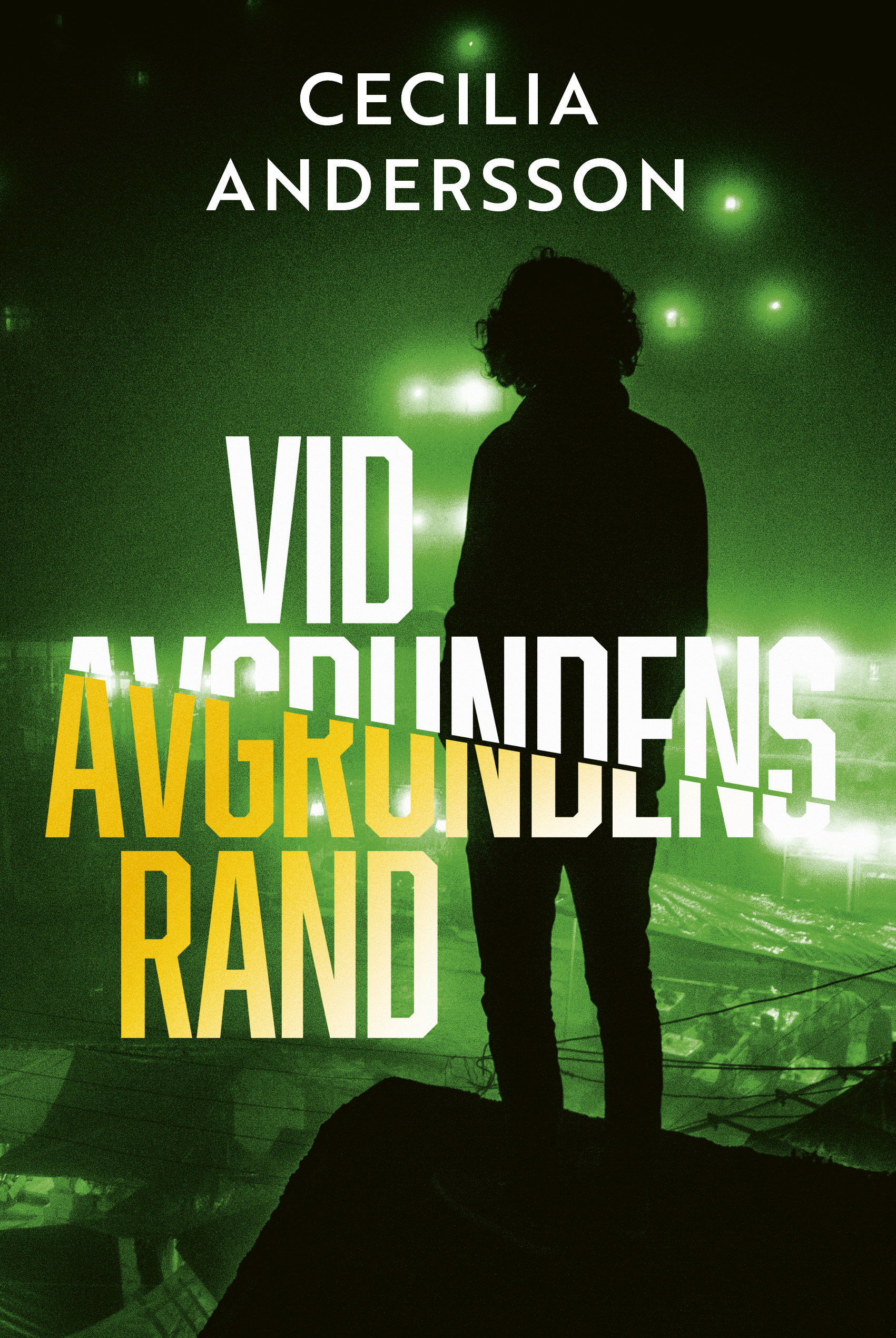 Vid avgrundens rand (Västervikserien, #3)