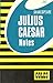 Julius Caesar: Coles Notes