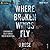 Where Broken Wings Fly (Briar Valley, #1)
