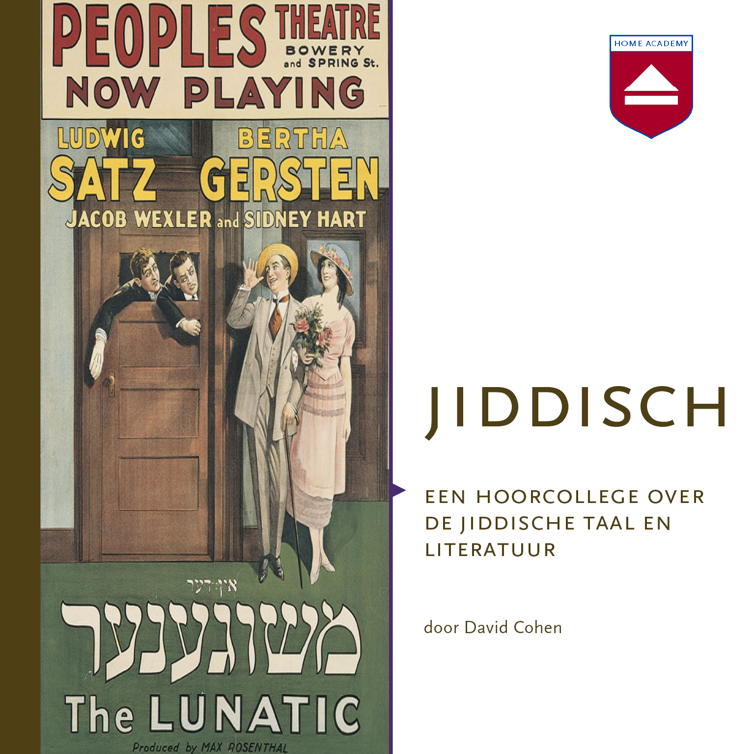 Jiddisch. Een hoorcollege over de Jiddische taal en literatuur