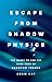 Escape from Shadow Physics: The Quest to End the Dark Ages of Quantum Theory