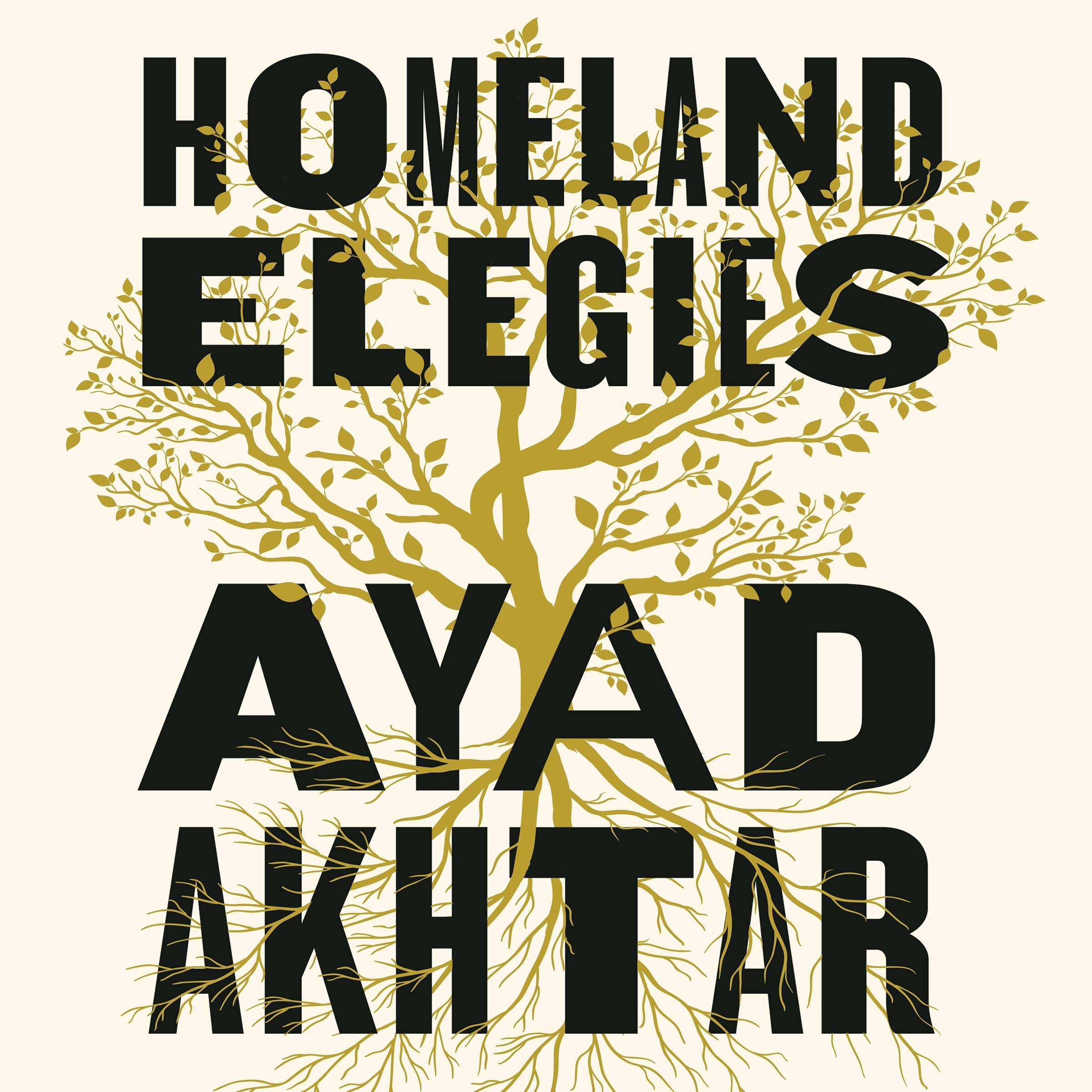 Homeland Elegies: A Barack Obama Favourite Book
