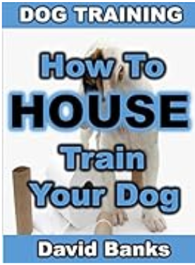 How To House Train Your Dog