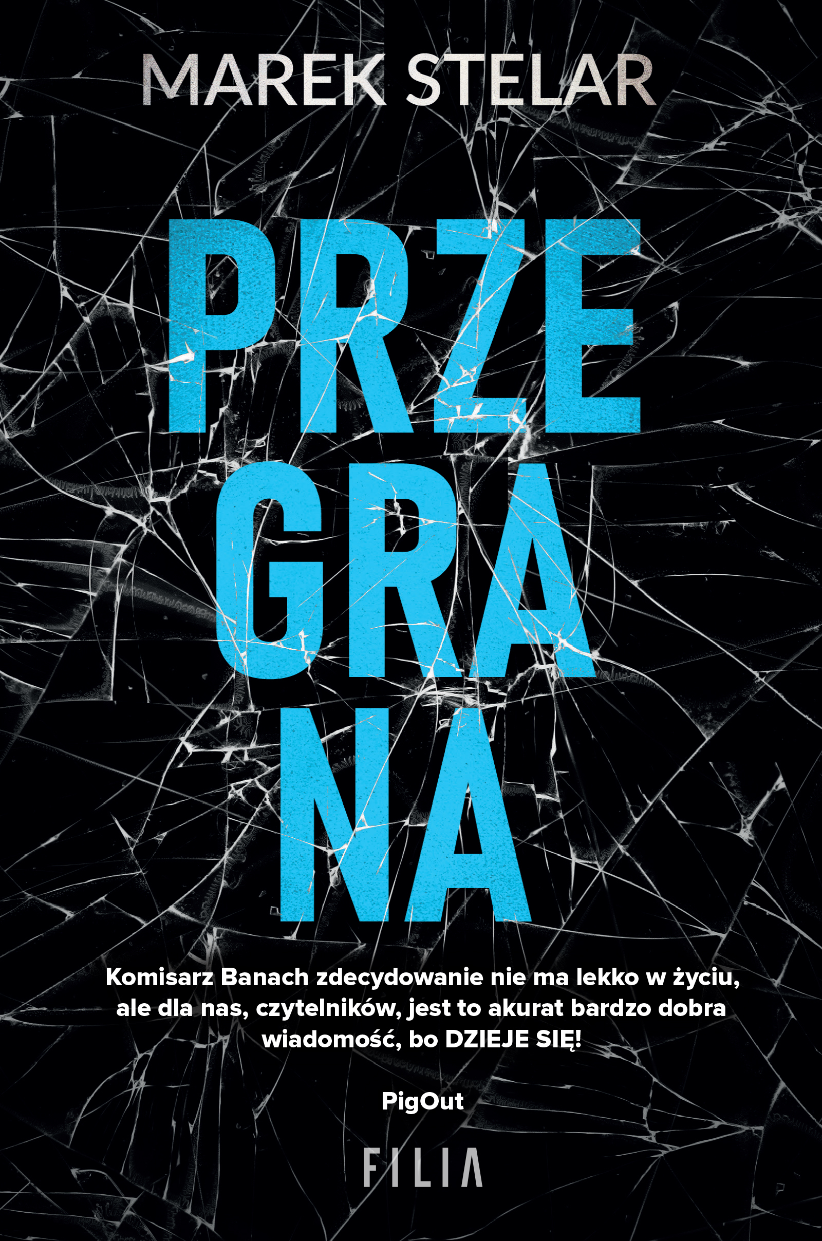 Przegrana (Komisarz Iwona Banach, #2)