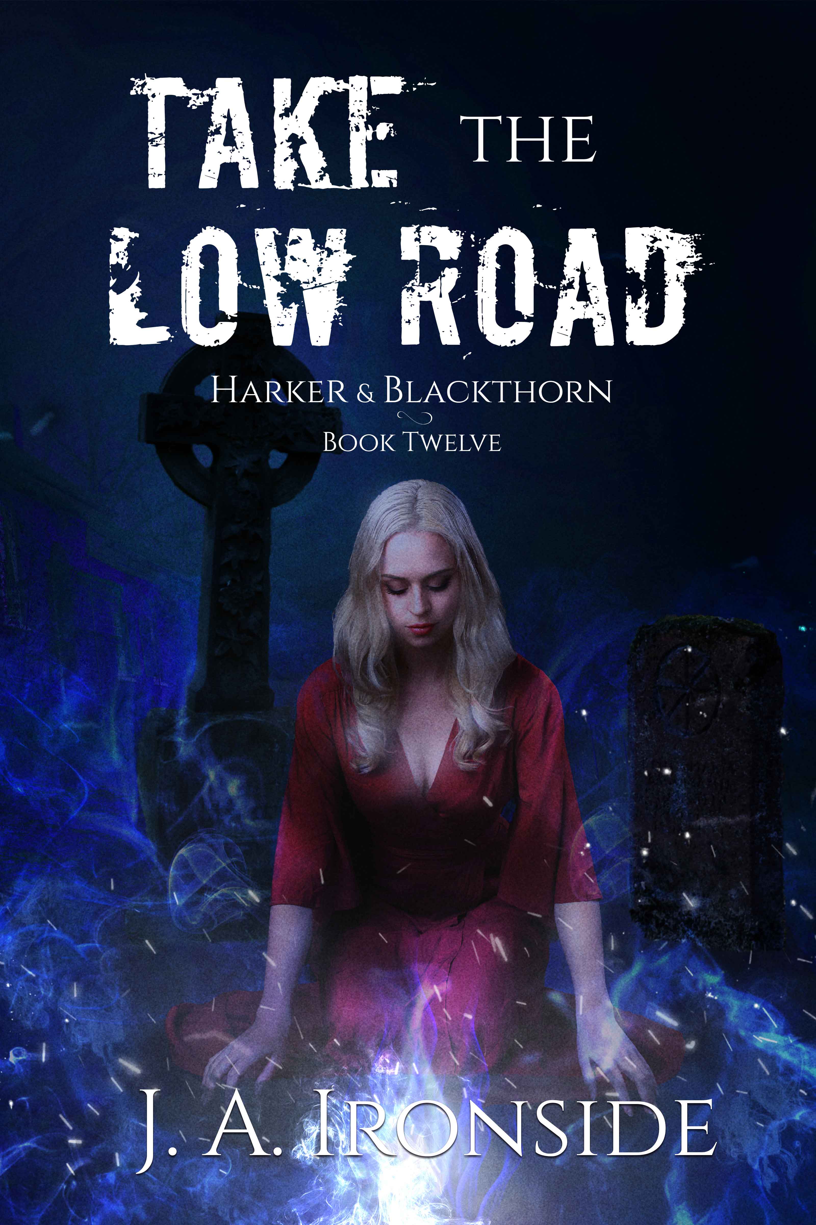 Take the Low Road (Harker & Blackthorn, #12)
