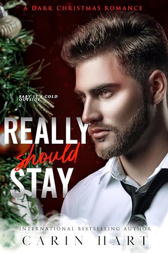 Really Should Stay (Reed Twins, #2)