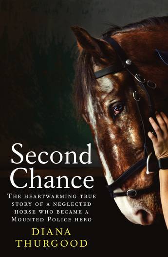 Second Chance (Paperback)