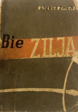 Bie zilja! : tregime për moshën e rritur shkollore
