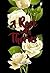 A Rose with Thorns