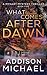 What Comes After Dawn: A Gh...