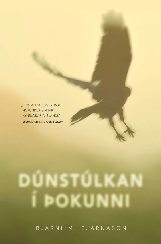 Dúnstúlkan í þokunni (Hardcover)
