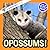 Opossums!: A My Incredible ...