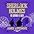 Sherlock Holmes: The Labyrinth of Death