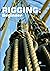 RIGGING: Beginner [Paperbac...
