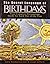 The Secret Language of Relationships by Gary Goldschneider (2003-10-20)