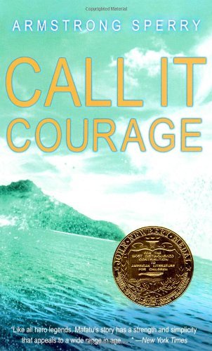 Call it Courage (Paperback)