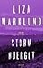 Stormbjerget (Stenträsktrilogin, #3)