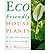 [(Eco-friendly Houseplants: 50 Indoor Plants That Purify the Air)] [Author: B.C. Wolverton] published on (December, 1996)