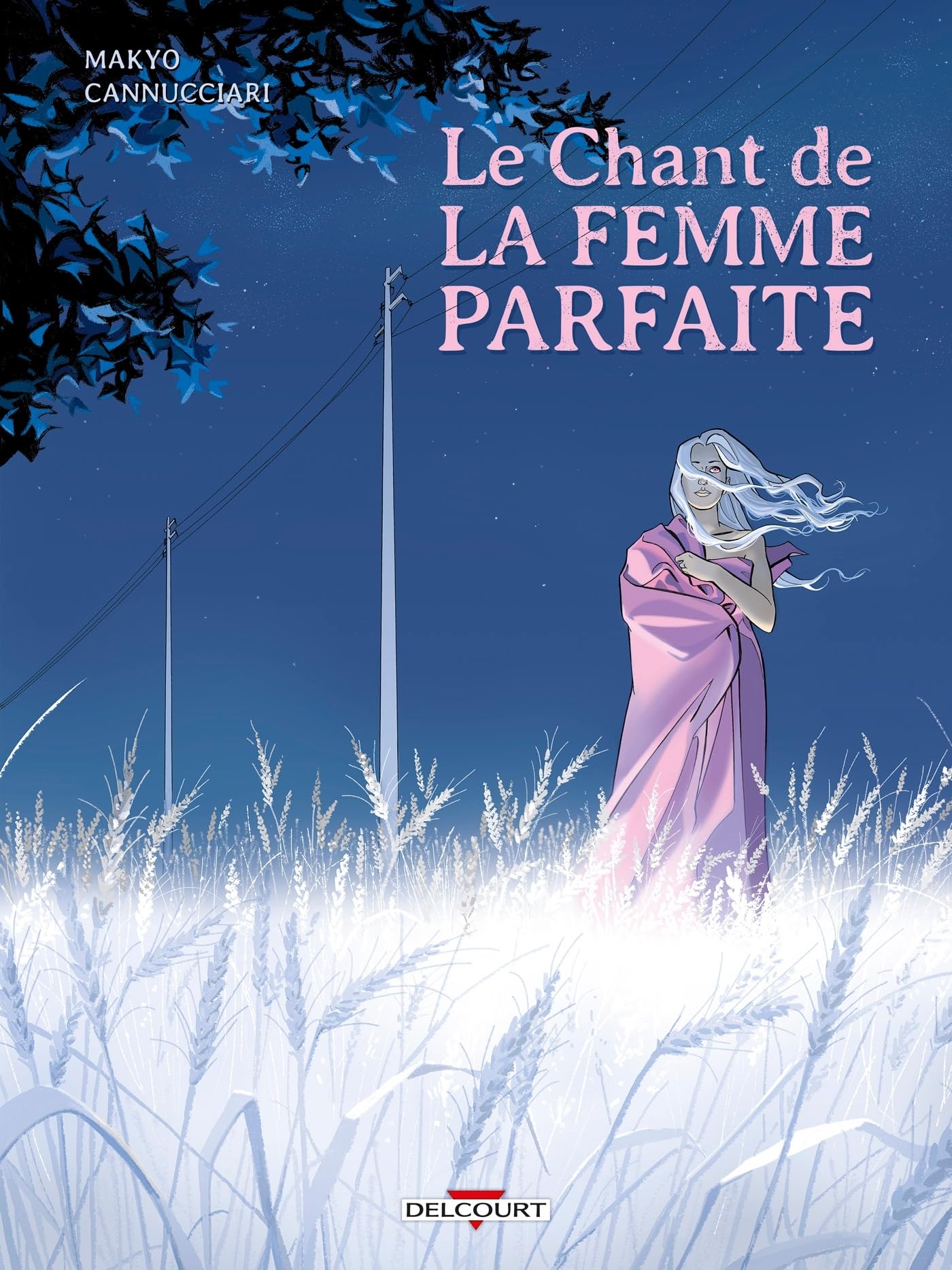 Le Chant de la femme parfaite (Hardcover)