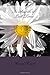 In Search of Lost Time by Marcel Proust (2015-01-31)