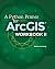 A Python Primer for ArcGIS?: Workbook II by Nathan Jennings (2015-01-20)