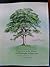 Perspectives in the History and Philosophy of Education by David Magleby