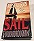 **** LARGE PRINT **** Sail by James  Patterson