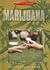 Marijuana (Health Issues)