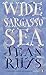 Wide Sargasso Sea (Penguin Essentials) by Rhys, Jean [07 April 2011]